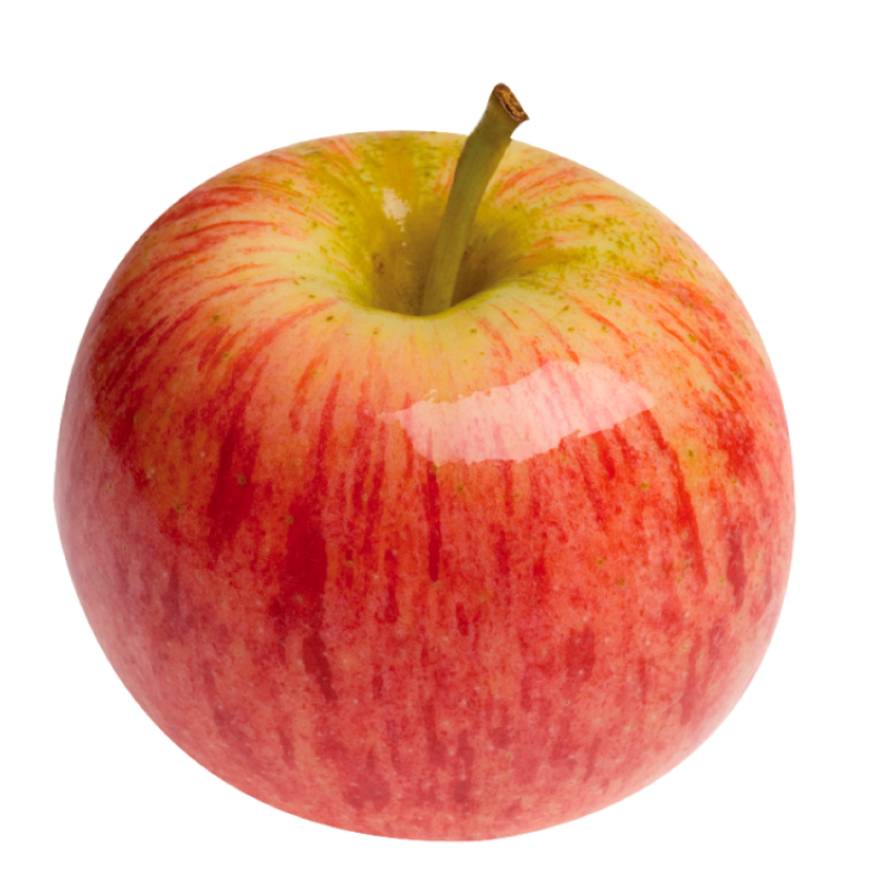 gravenstein apple