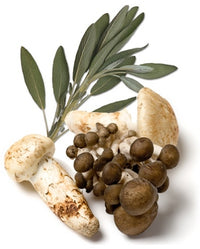 Thumbnail for Wild Mushroom & Sage Olive Oil