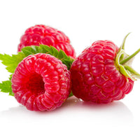 Thumbnail for Raspberry Dark Balsamic Vinegar